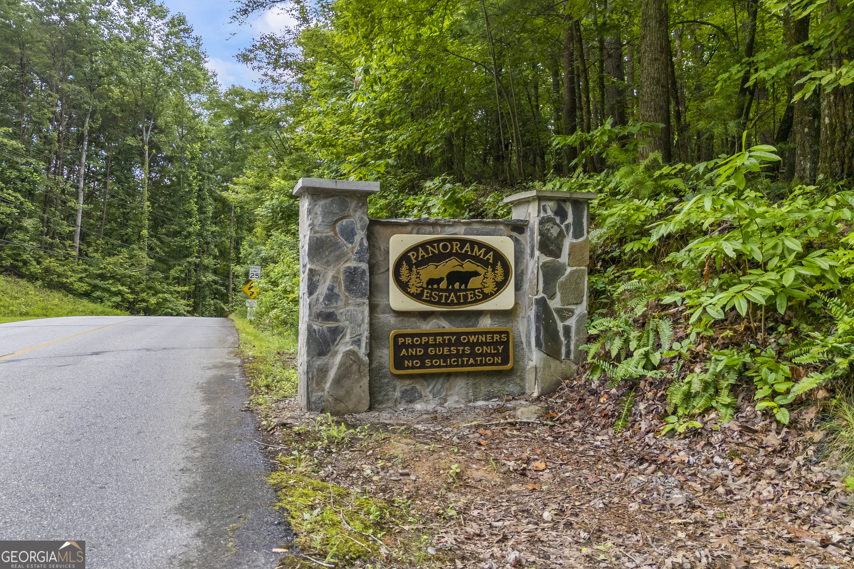 Property Photo: 0 Northlake Drive GA 30571