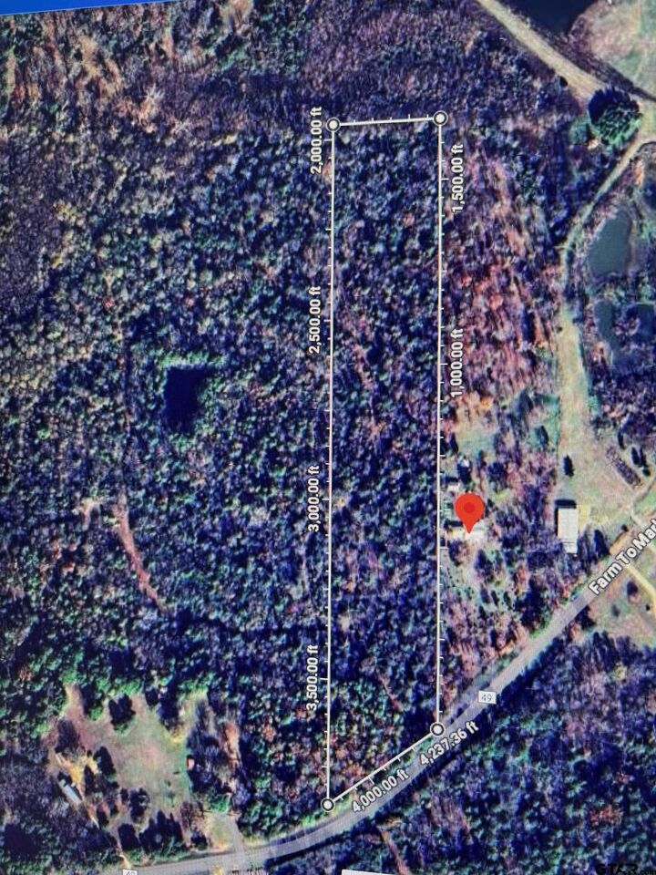 Property Photo:  4453 Fm 49  TX 75773 