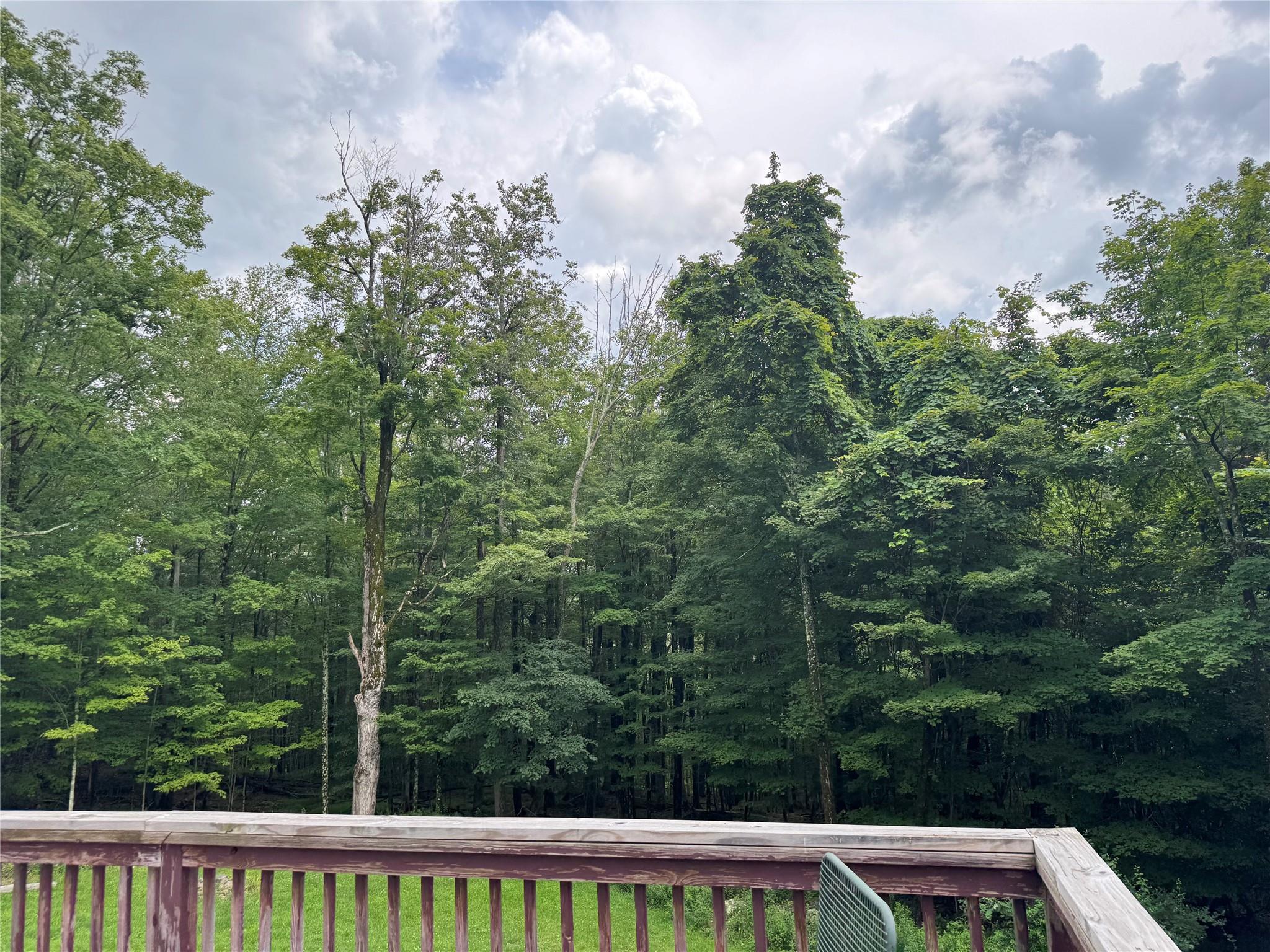 Property Photo:  108 Todd Road  NY 12788 