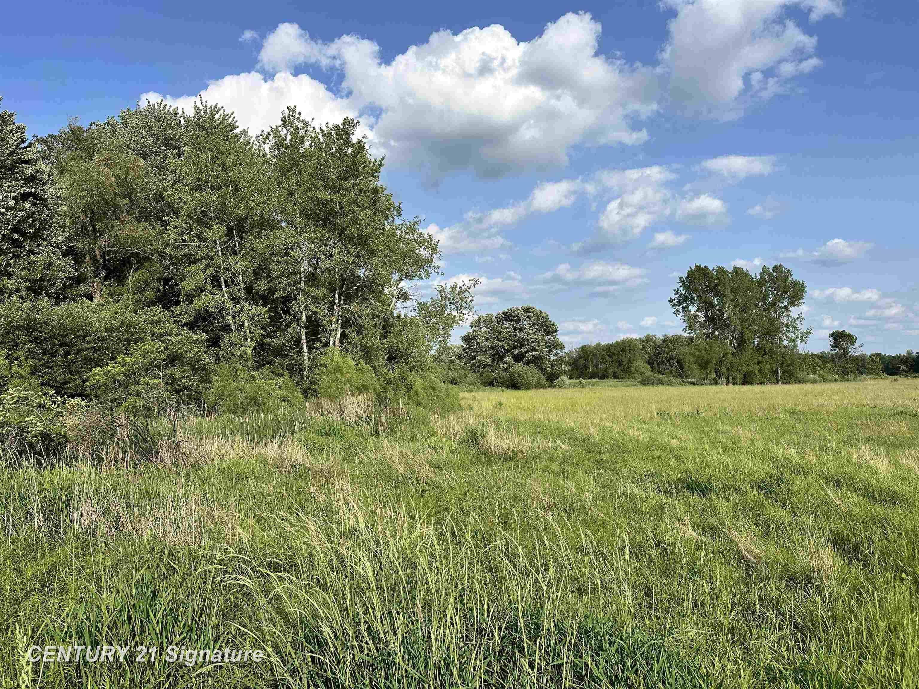 Property Photo: 60 Estey Road MI 48612