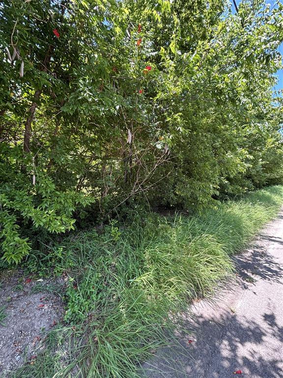 Property Photo:  1124 Jones Street  TX 75401 