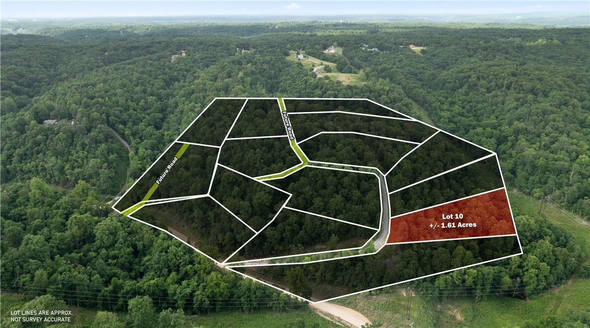 Esculapia Hollow Road Lot 10  Rogers AR 72758 photo