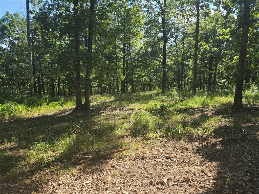 Property Photo:  Esculapia Hollow Road Lot 6  AR 72758 