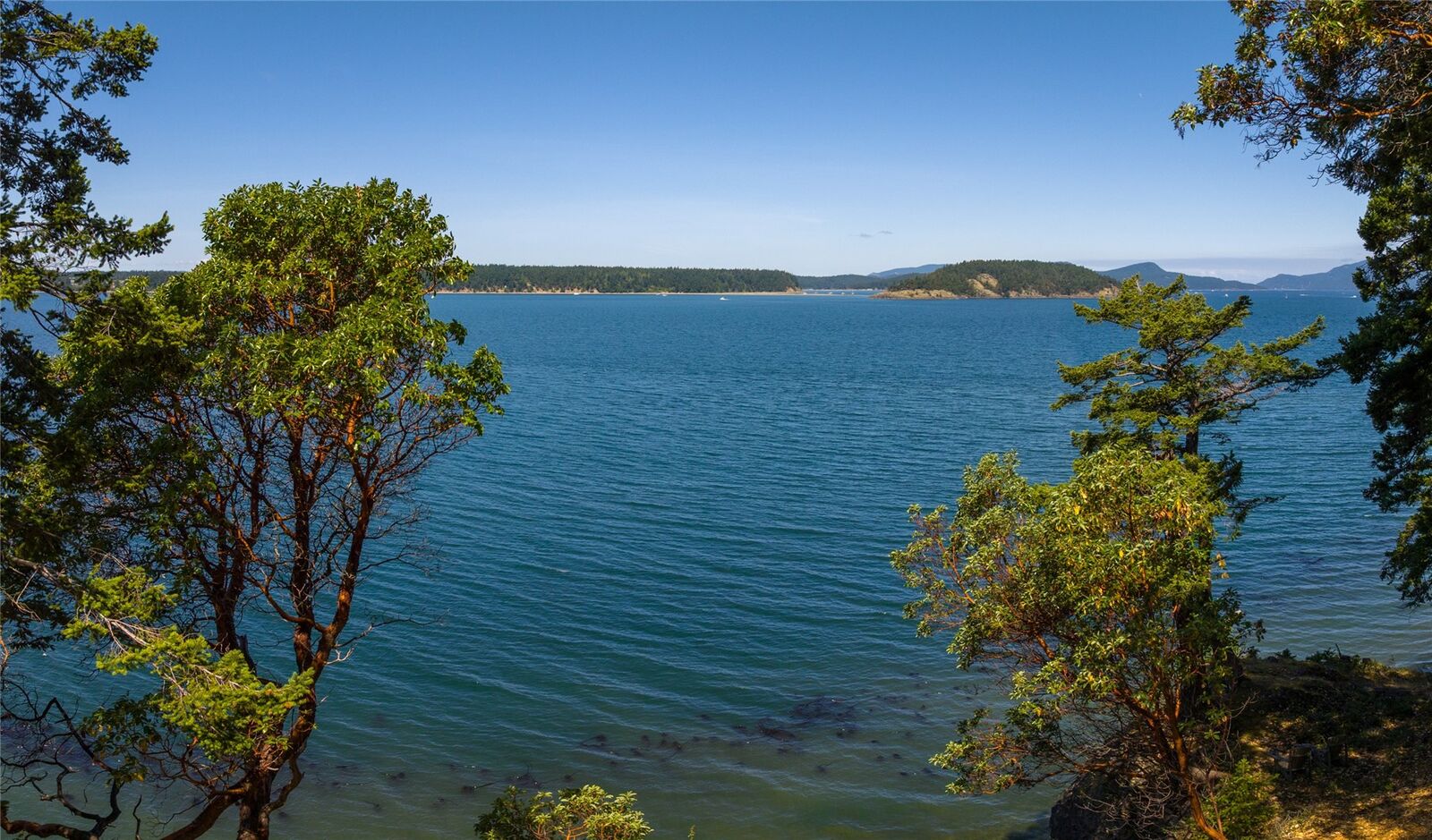 Property Photo:  0 Ec-19  East Cove Road  WA 98221 