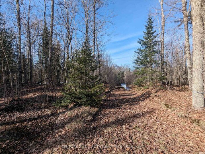 Property Photo: 11146 Highway 118 N/A ON K0M 1J1