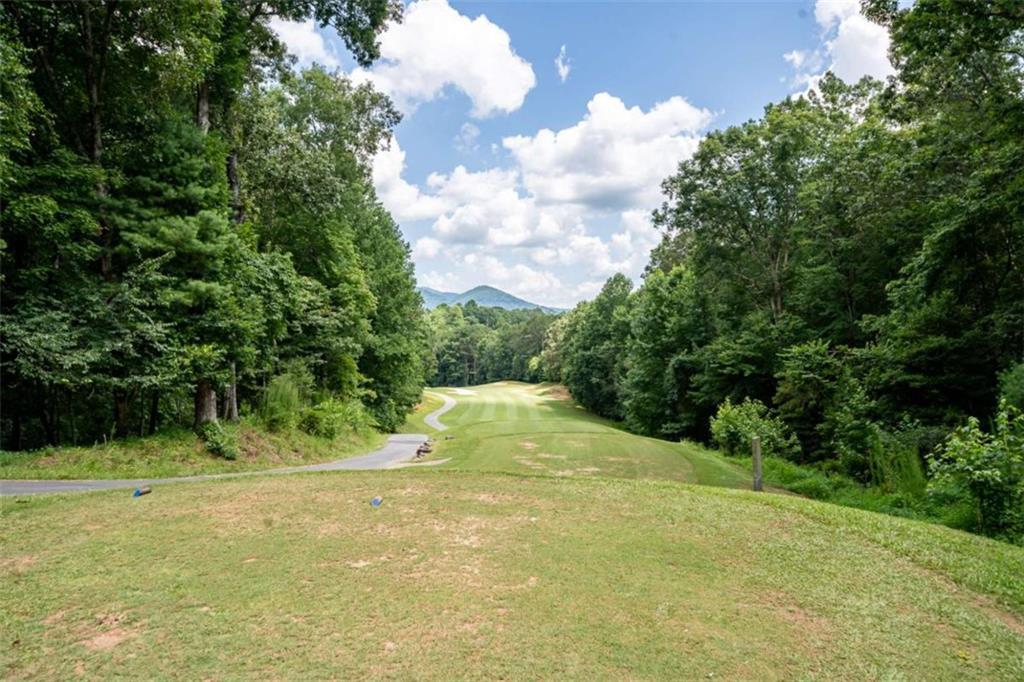 Property Photo: 15 Tallulah Court GA 30540