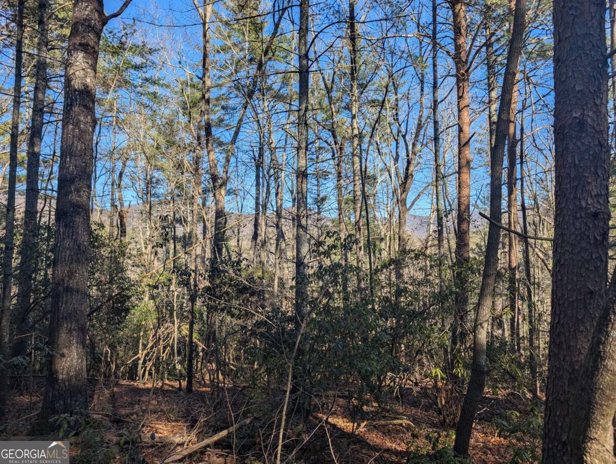 Property Photo: Lot J251 Pine Ridge Court GA 30536