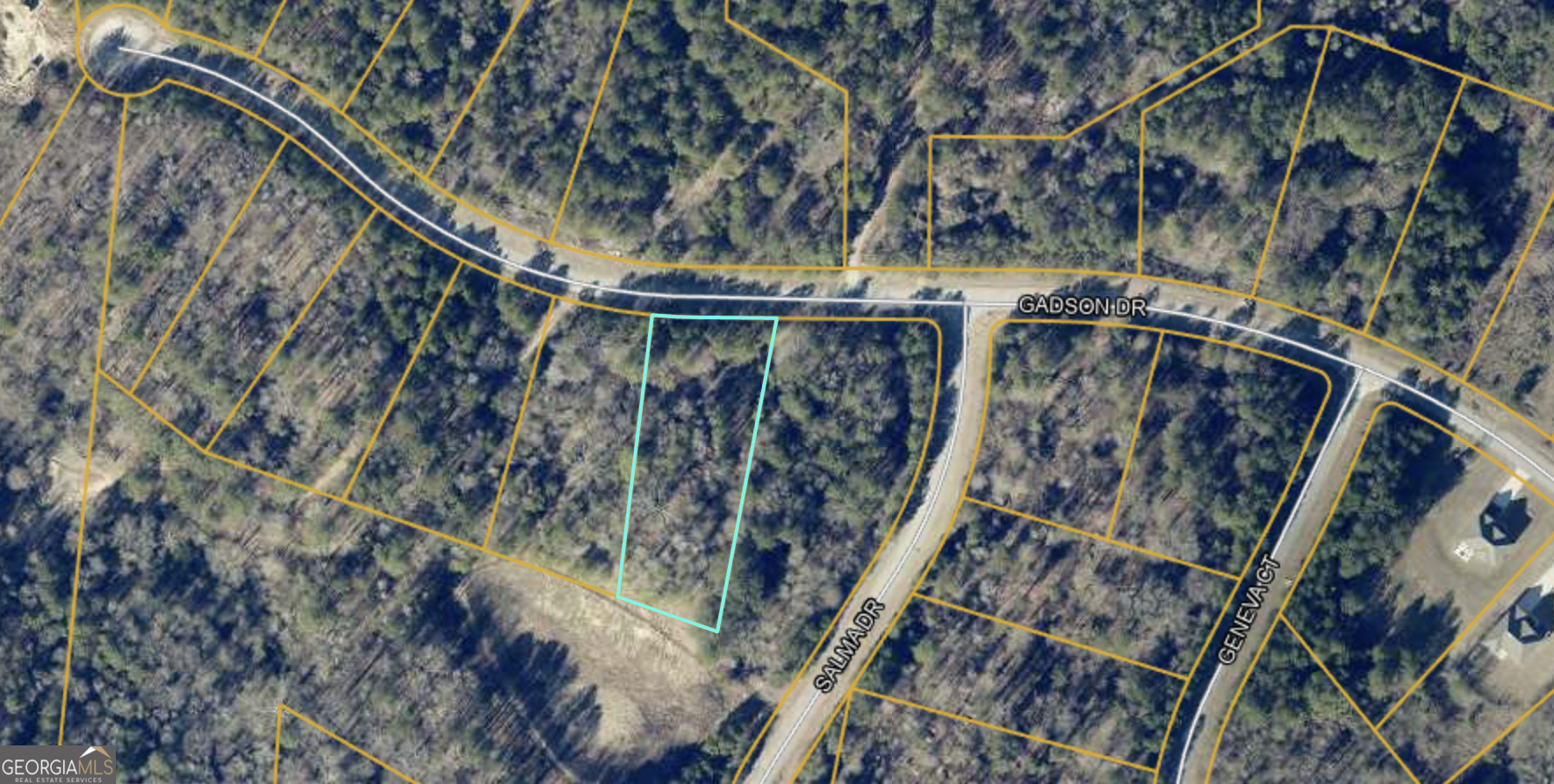 Property Photo: 200 Gadson Drive Lot 48 GA 30214