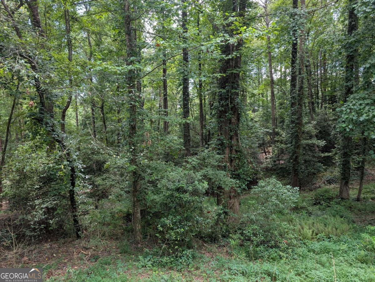 Property Photo: Lot 194 Shenendoa Drive GA 30540