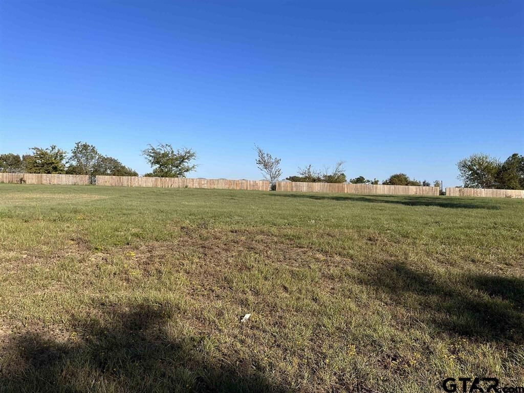 Property Photo:  81 Ryder Cup Trail  TX 75771 