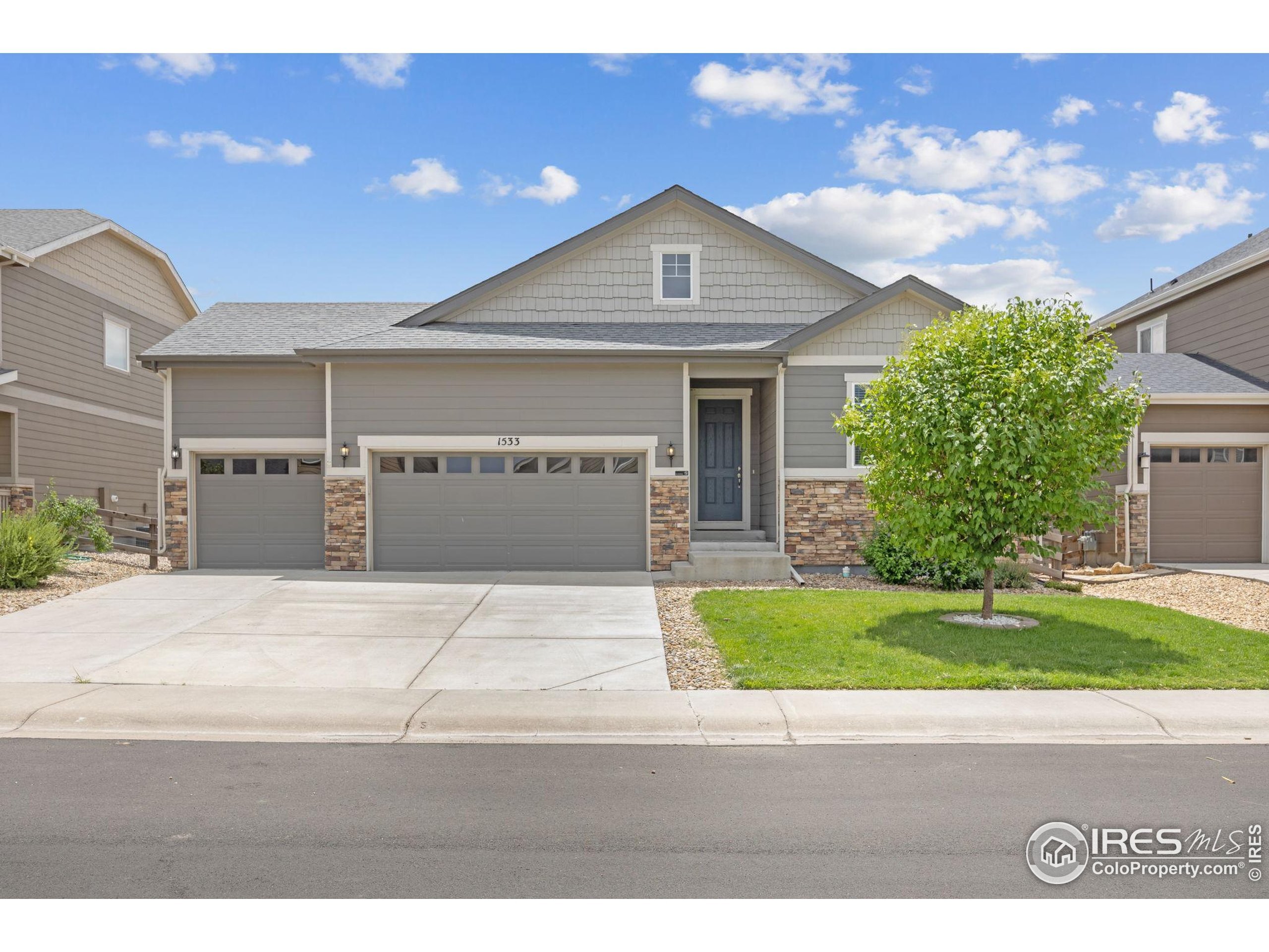 1533 Sorenson Dr  Windsor CO 80550 photo
