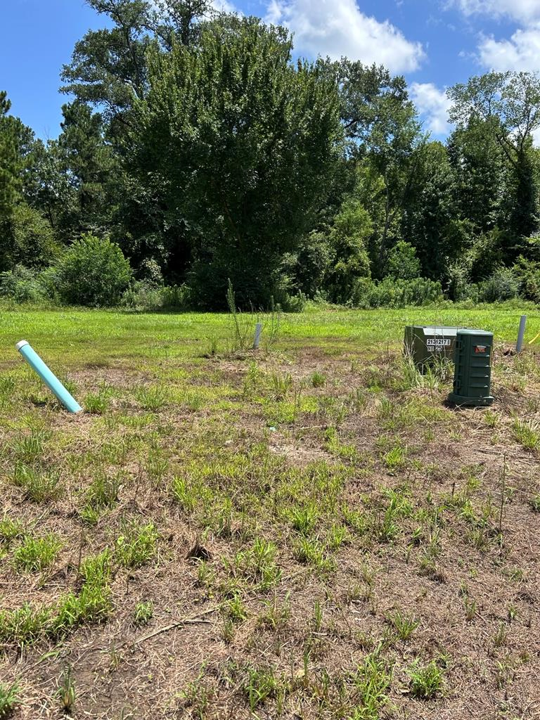 Property Photo: R143729 (Lot 6) Dena Kay Drive TX 74904