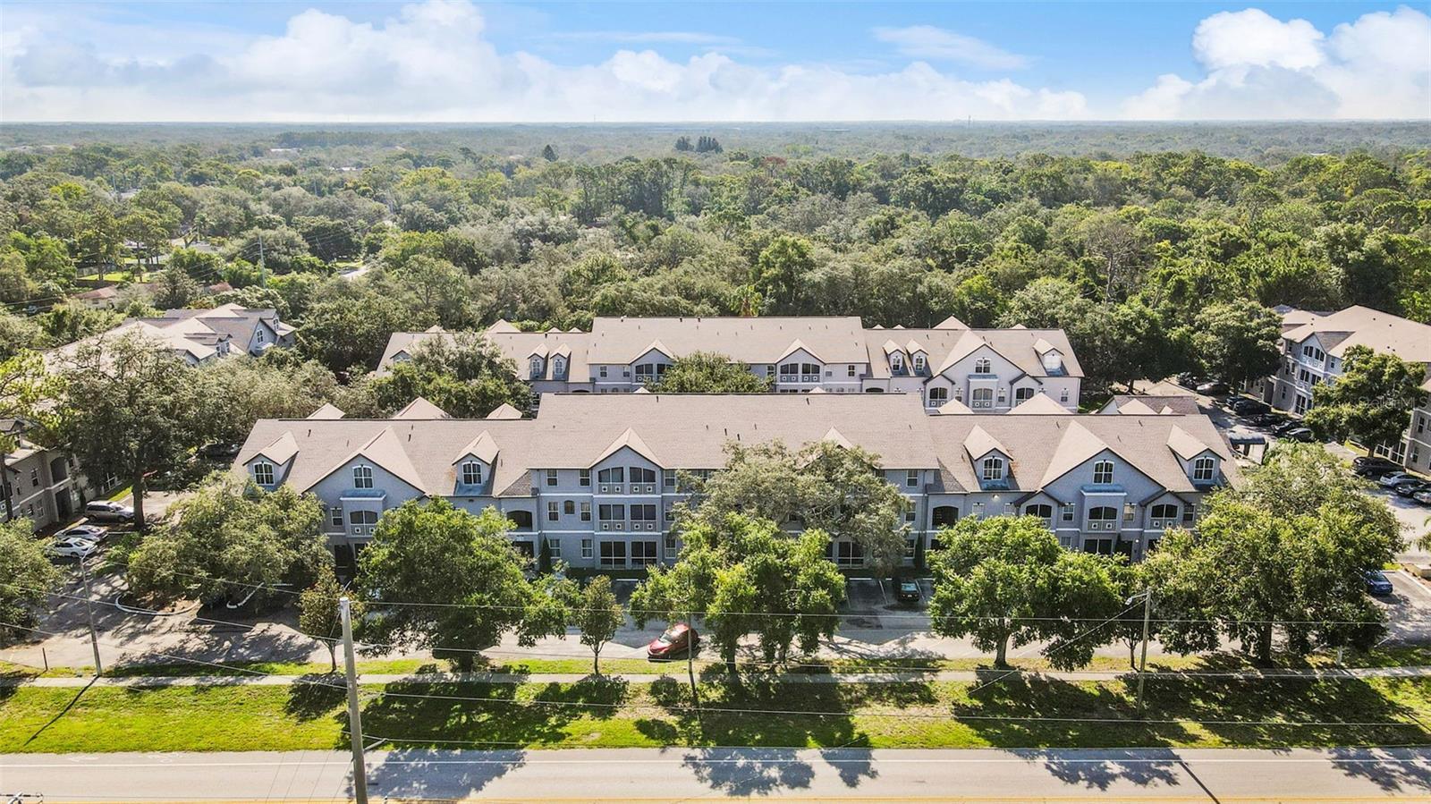 Property Photo: 5052 Sunridge Palms Drive 204 FL 33617