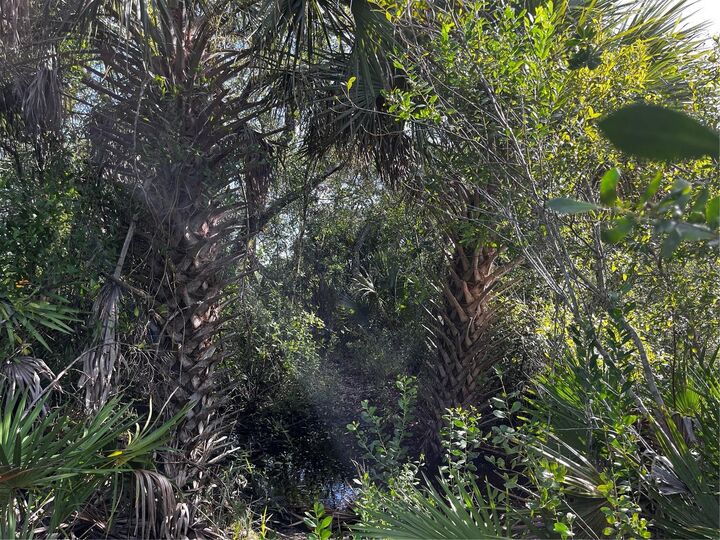 Property Photo: 50204 Bermont Road FL 33982