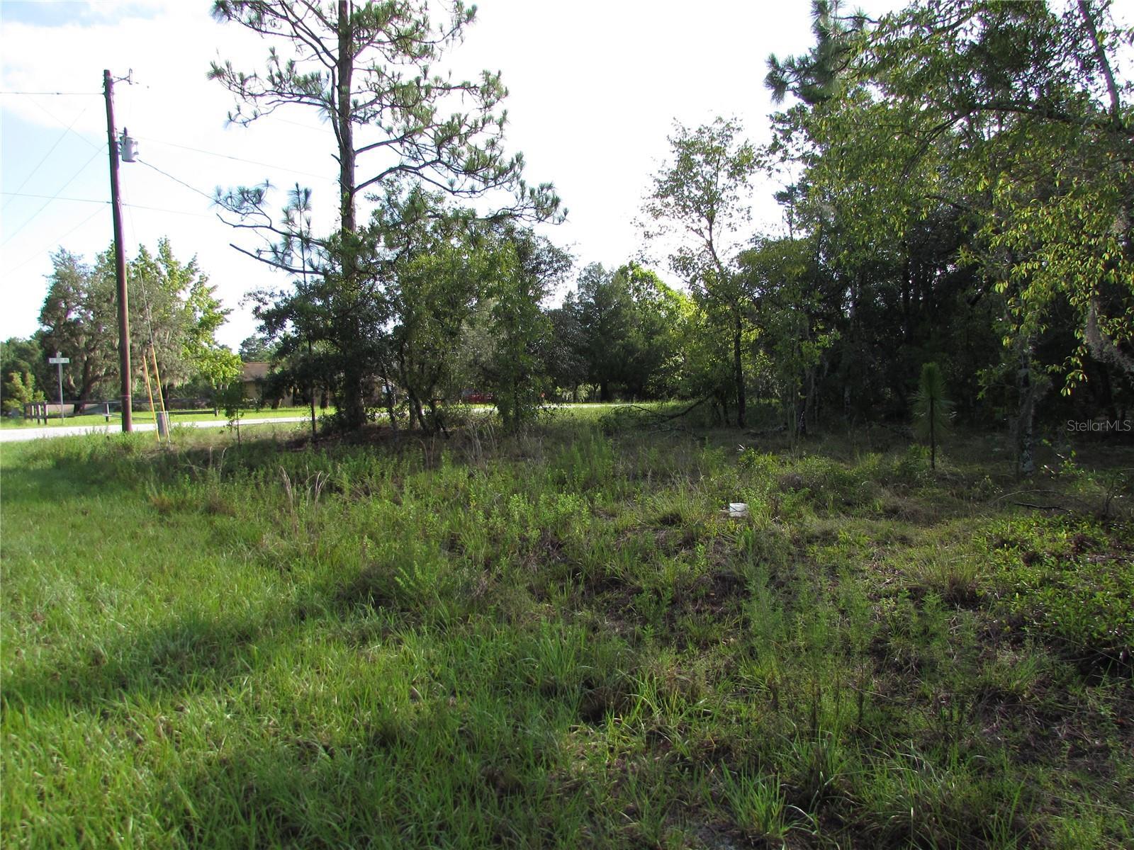 Property Photo: Lot 26 SE 136 Terrace FL 34431
