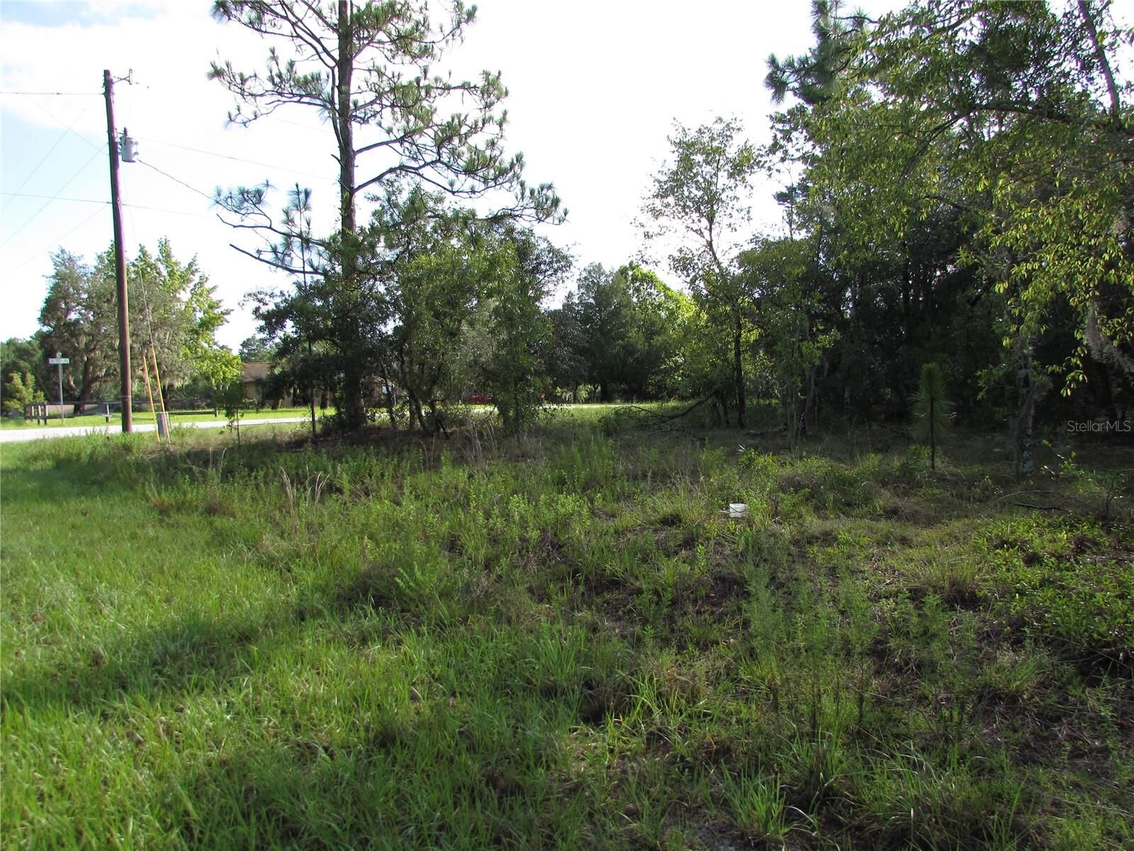 Property Photo: Lot 26 SE 136 Terrace FL 34431