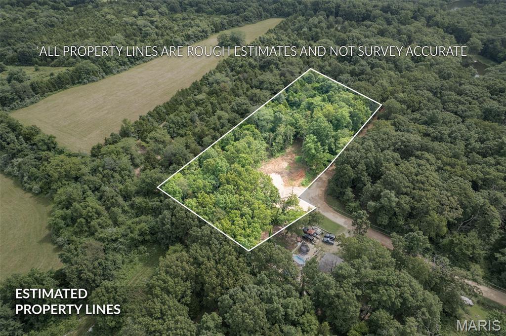 9793 Grove Drive  Bonne Terre MO 63628 photo