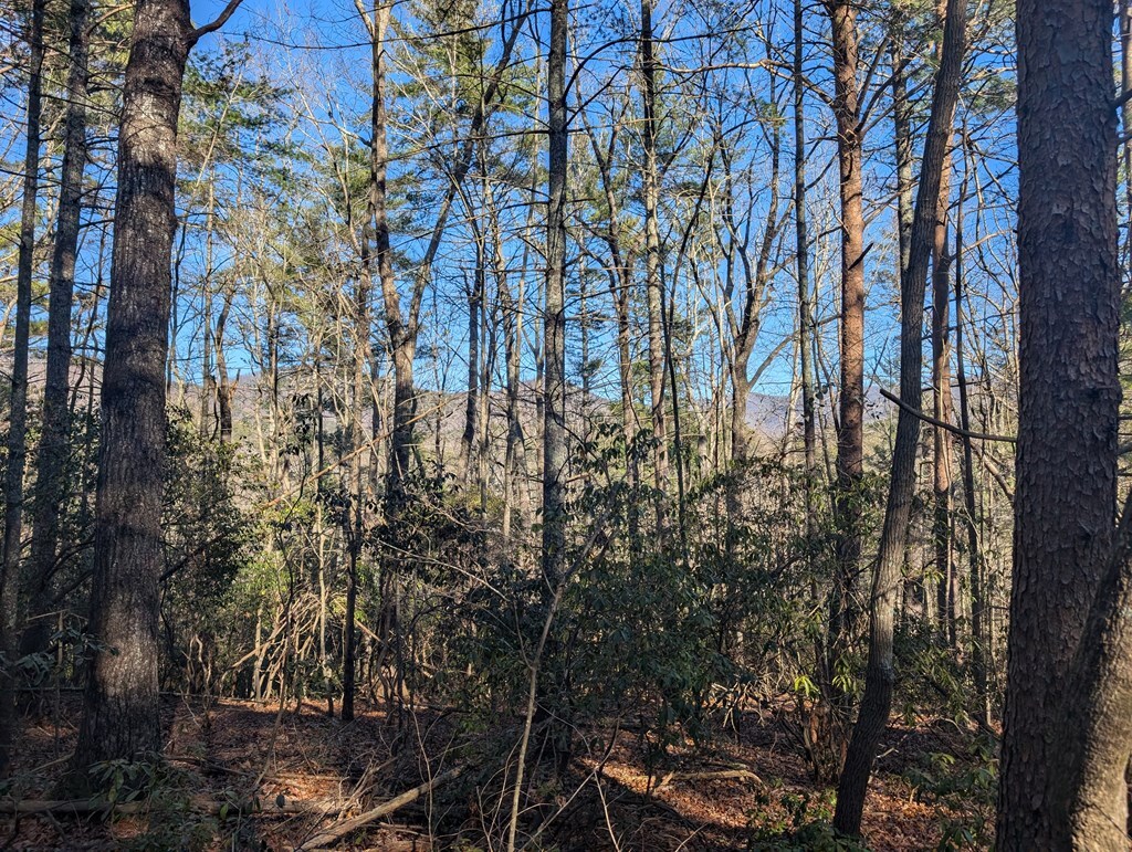 Property Photo: Lot J251 Pine Ridge Court AL 36170