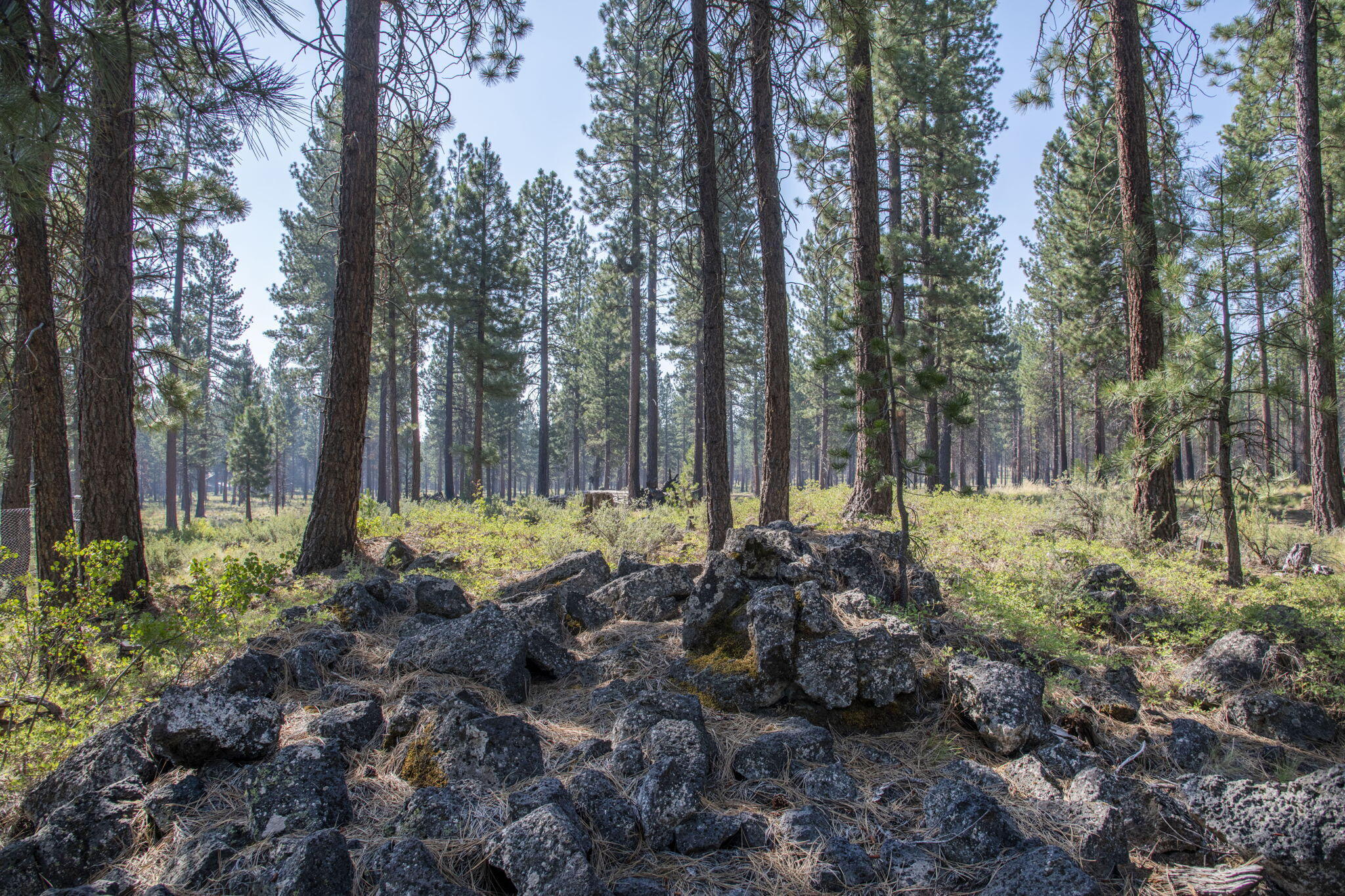 Property Photo: 16945 Jacinto Road OR 97707