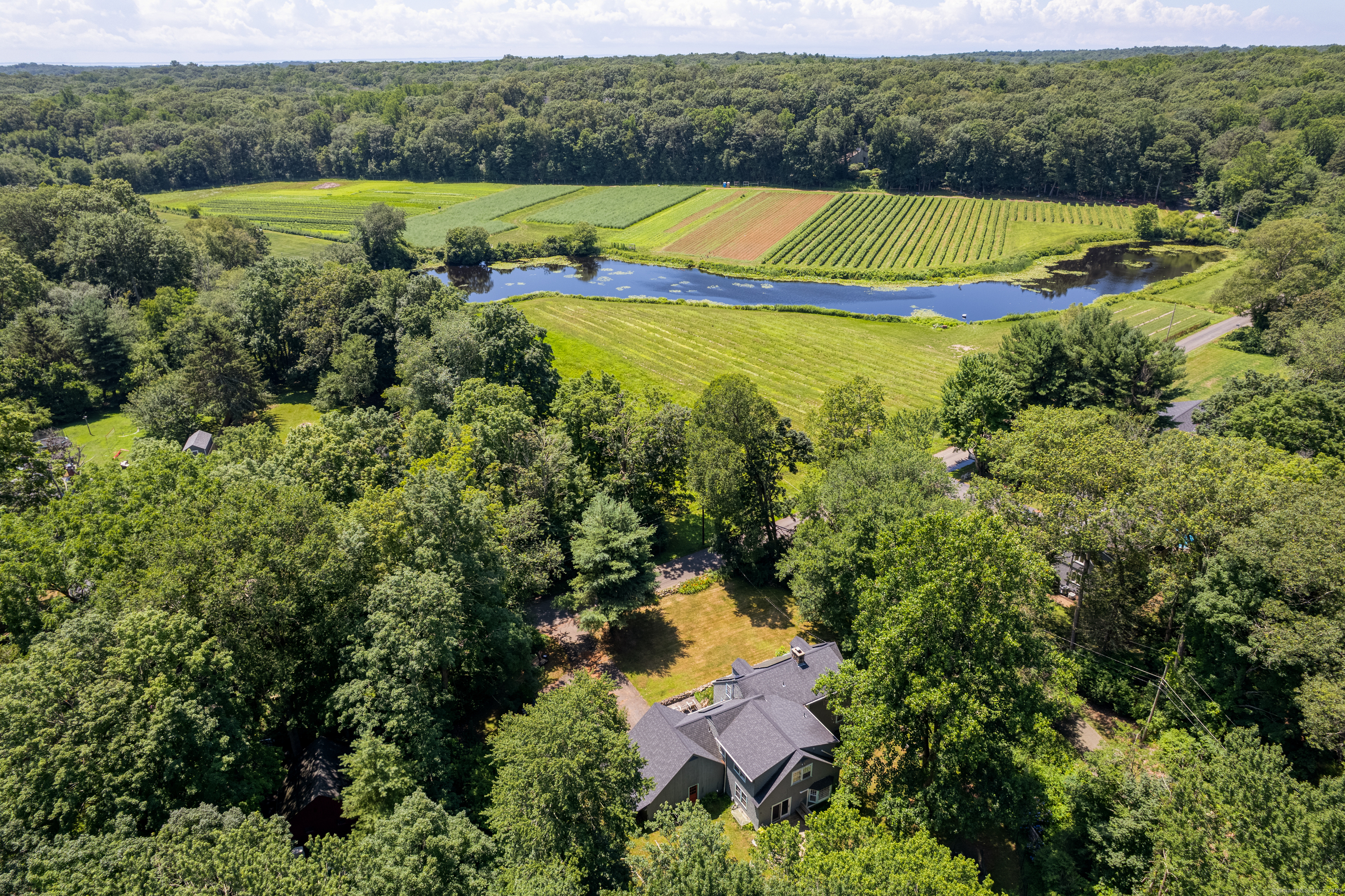 Property Photo:  181 Dunk Rock Road  CT 06437 