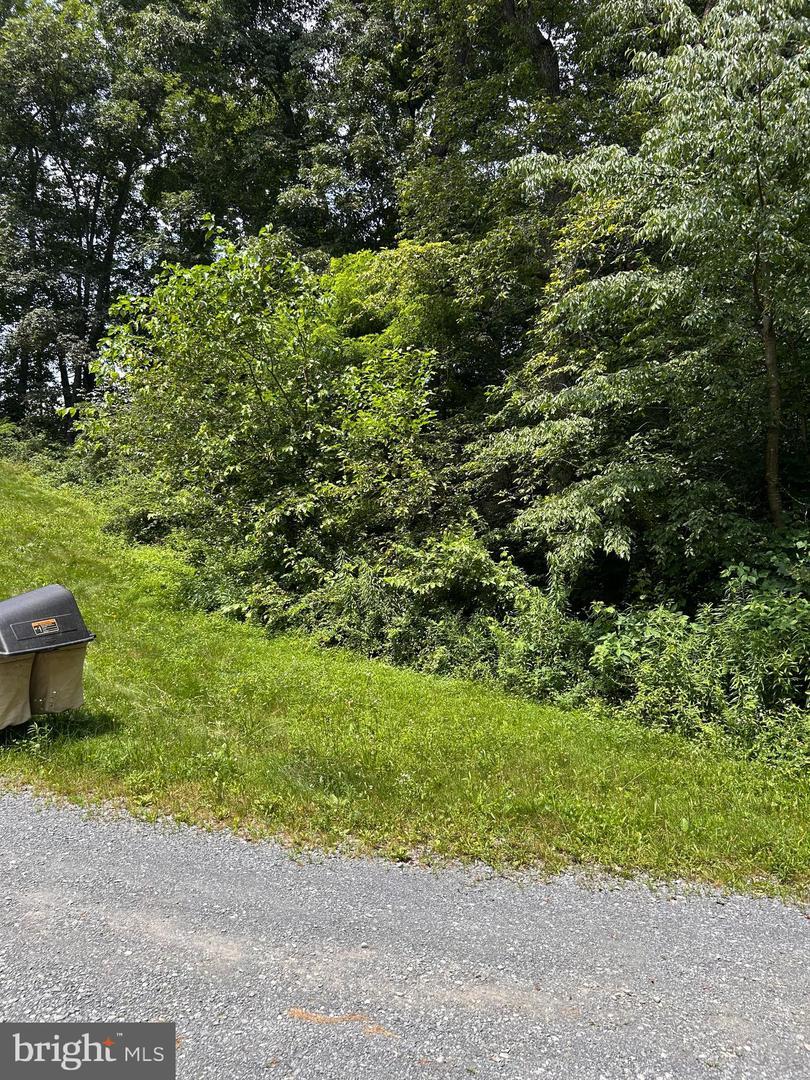 Property Photo: 0 Maclays Mill Road PA 17257