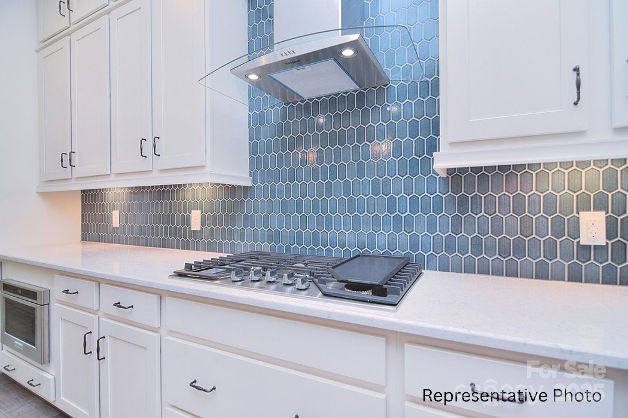 Property Photo:  1357 Sage Pine Circle 25  SC 29710 
