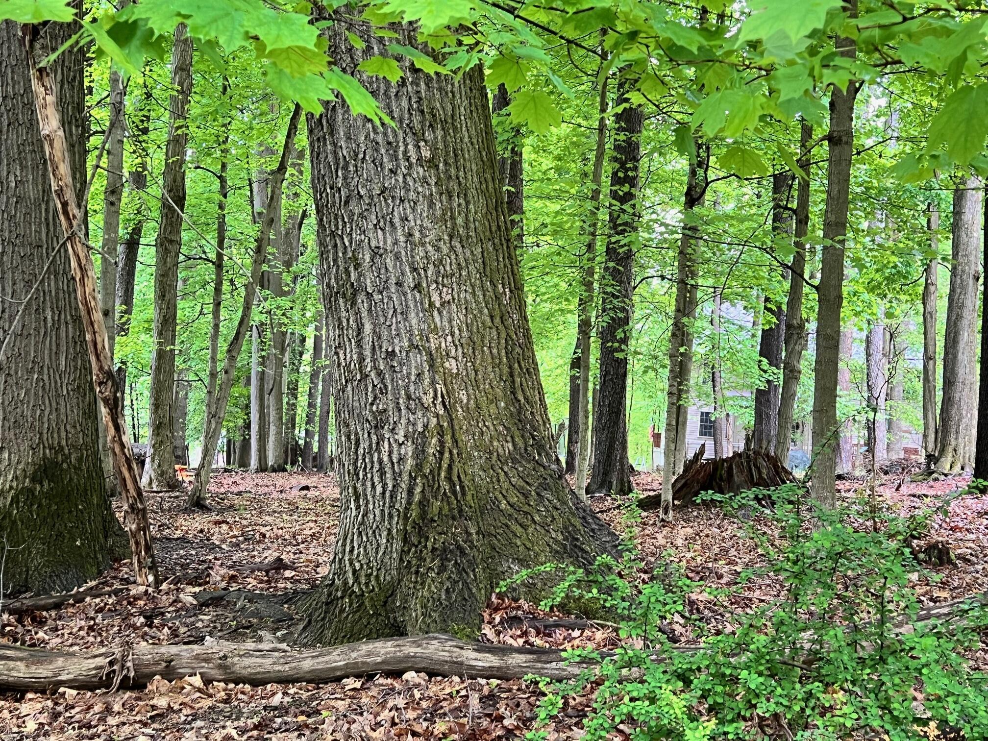 Property Photo:  1 Treasure Lake Rd  PA 15801 