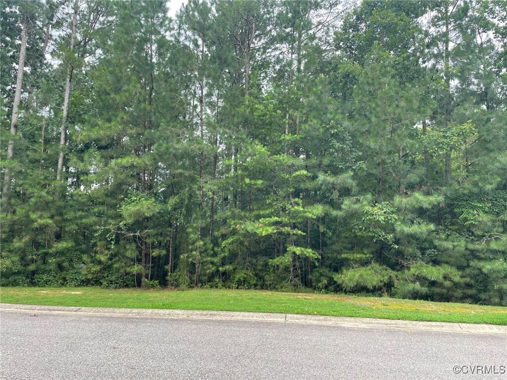 Property Photo:  5300 Linkshire Lane  VA 23140 