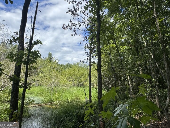Property Photo:  353 Parham Road  GA 31830 