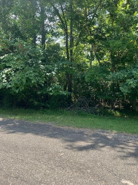 Property Photo: Lot 13 &Amp 14 Big Lake Drive TX 77351