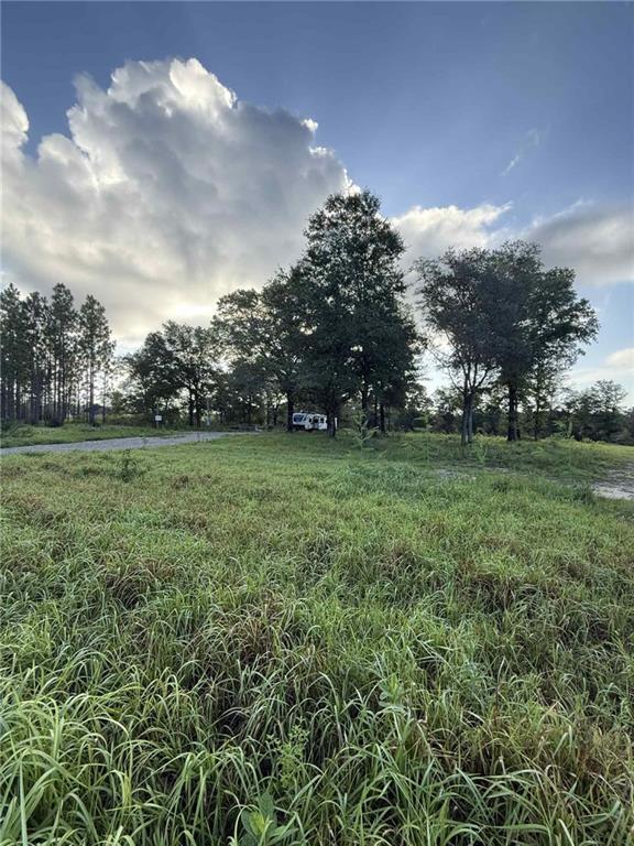 Property Photo:  11779 Hampton Road  AL 36608 