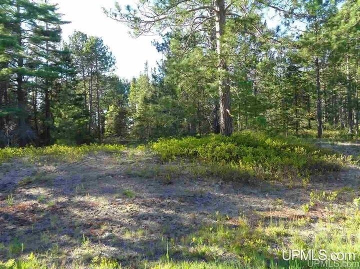 Property Photo:  51734 Rice Lake Road  MI 49945 
