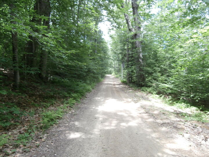 Property Photo:  Lot 005 Hebo Hybo Road  ME 04001 
