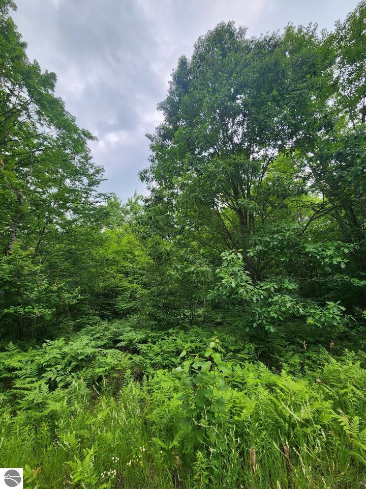 Property Photo: Tbd Snowridge Trail MI 49730