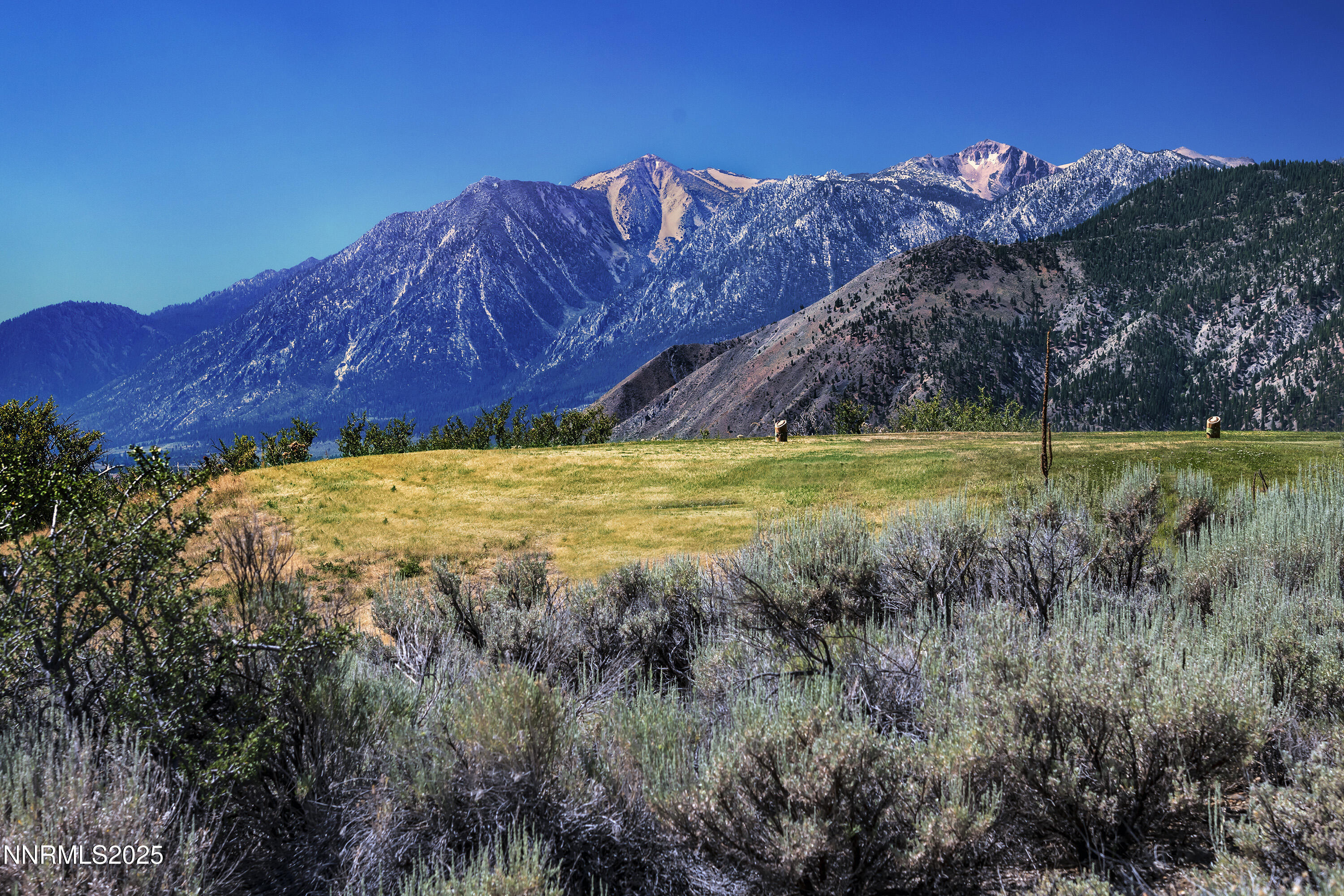 Property Photo: 343 James Canyon Loop NV 89411