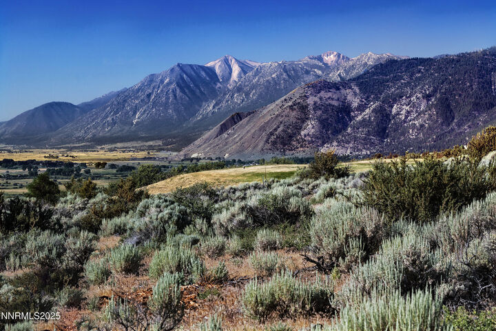 Property Photo: 343 James Canyon Loop NV 89411