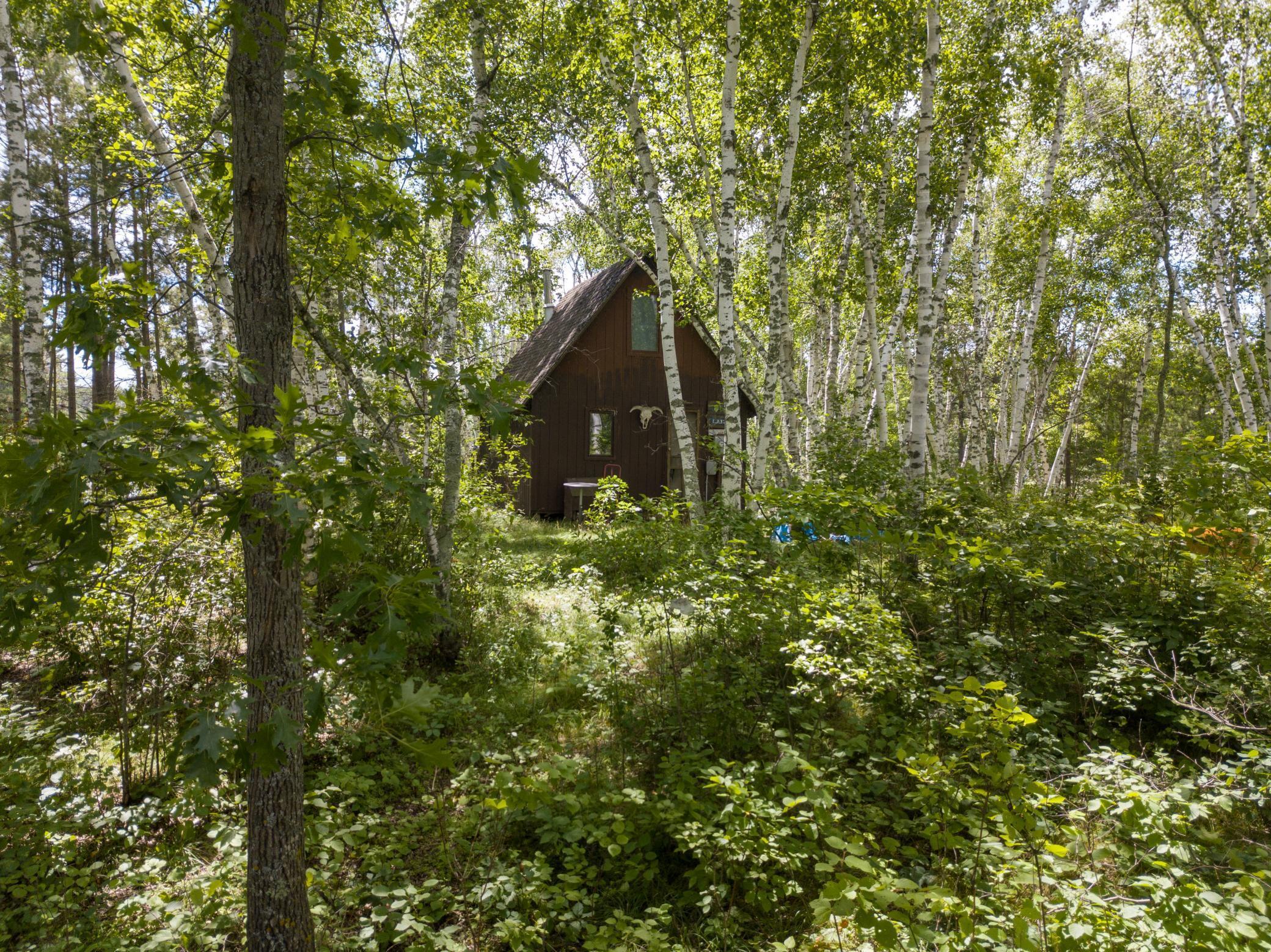 Property Photo: 22510 Spider Island MN 56467