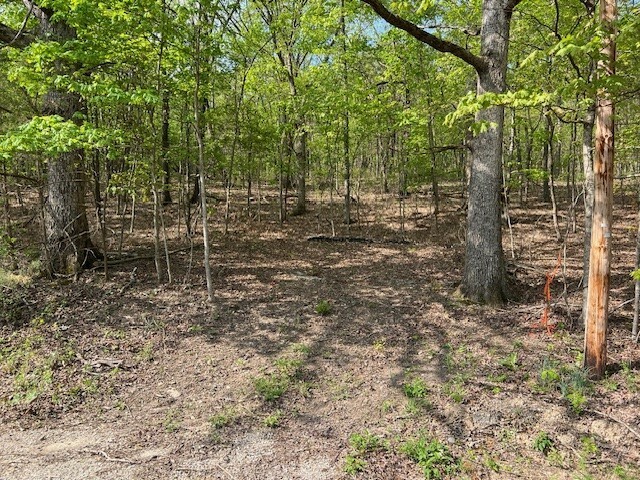 Property Photo:  33 Venus Avenue  AR 72631 