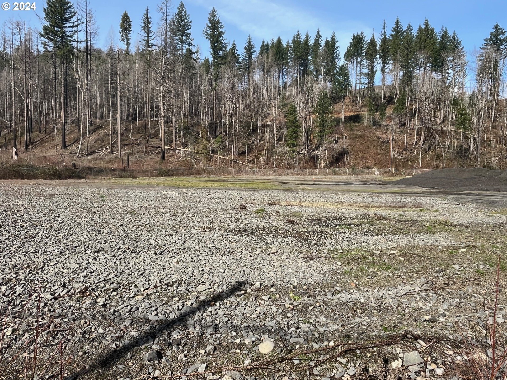 Property Photo: 50389 McKenzie Hwy OR 97488