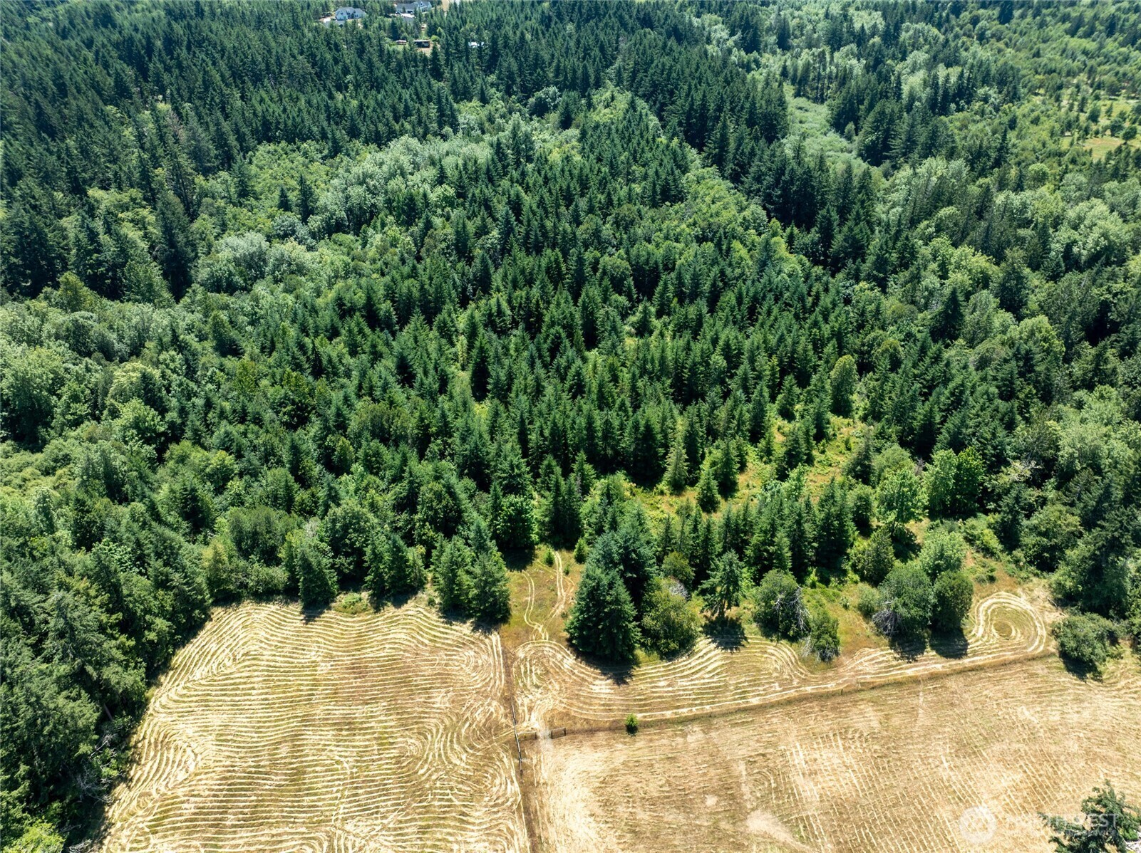 Property Photo: 6115 NE Puget Beach Road WA 98516