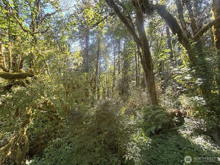 Property Photo: 0 Hill Creek Road WA 98611