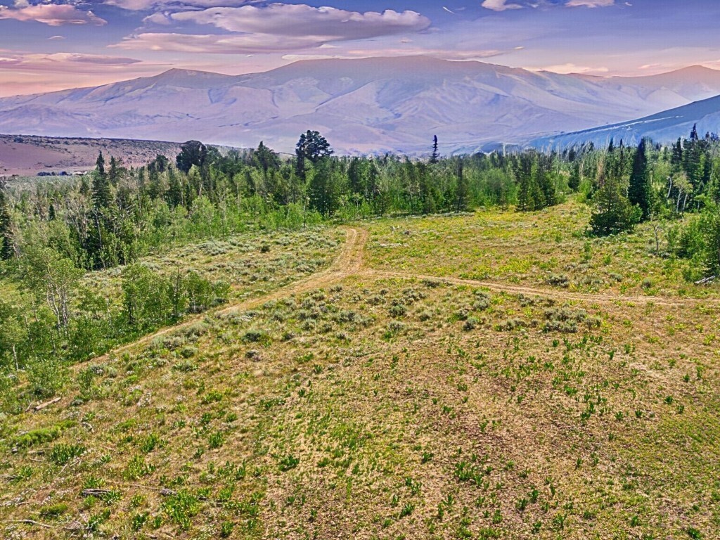 Property Photo: Tbd Spring Creek Ranch Rd CO 80498