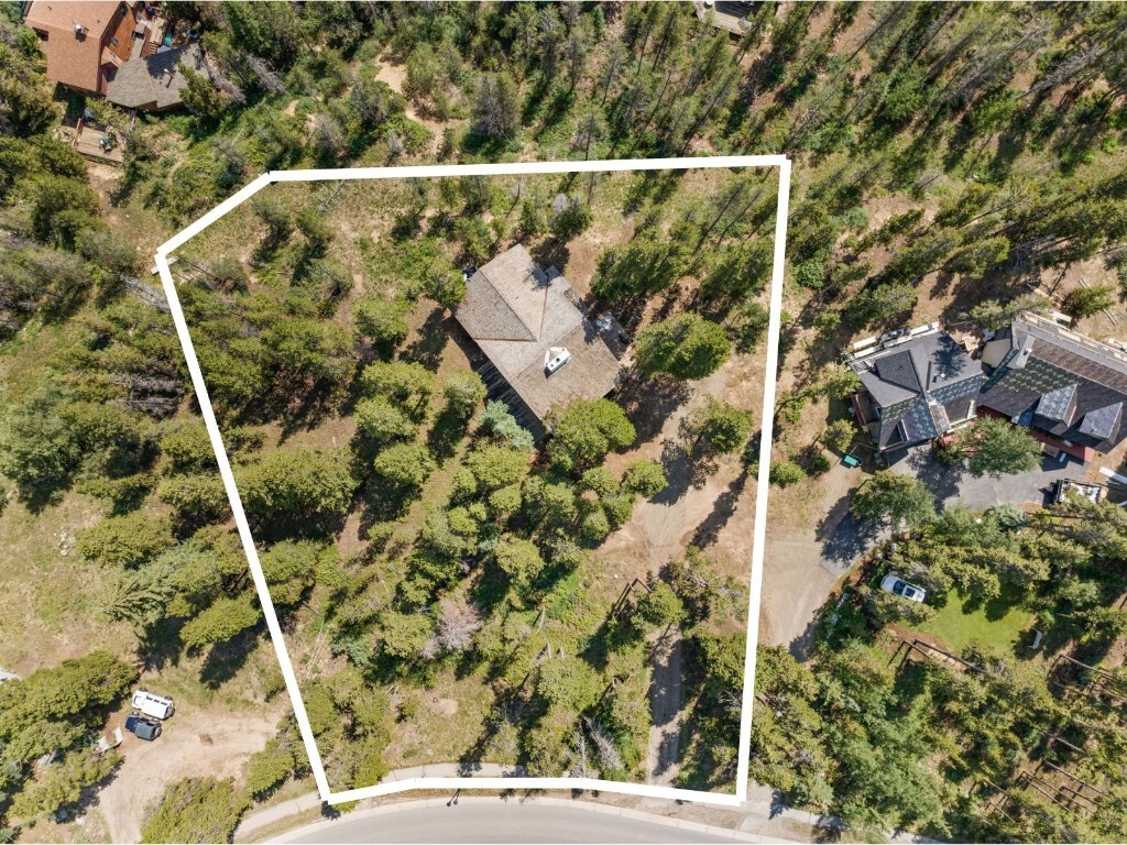 128 Royal Tiger Road  Breckenridge CO 80424 photo