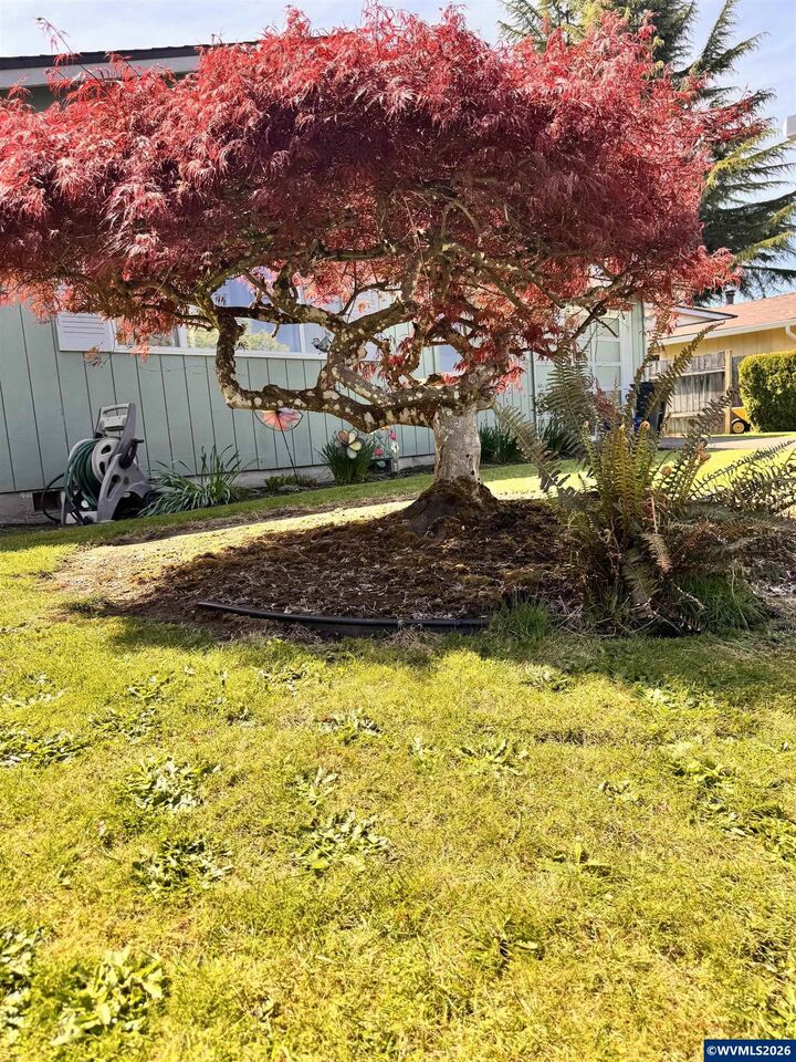 Property Photo:  560 Maple St  OR 97325 