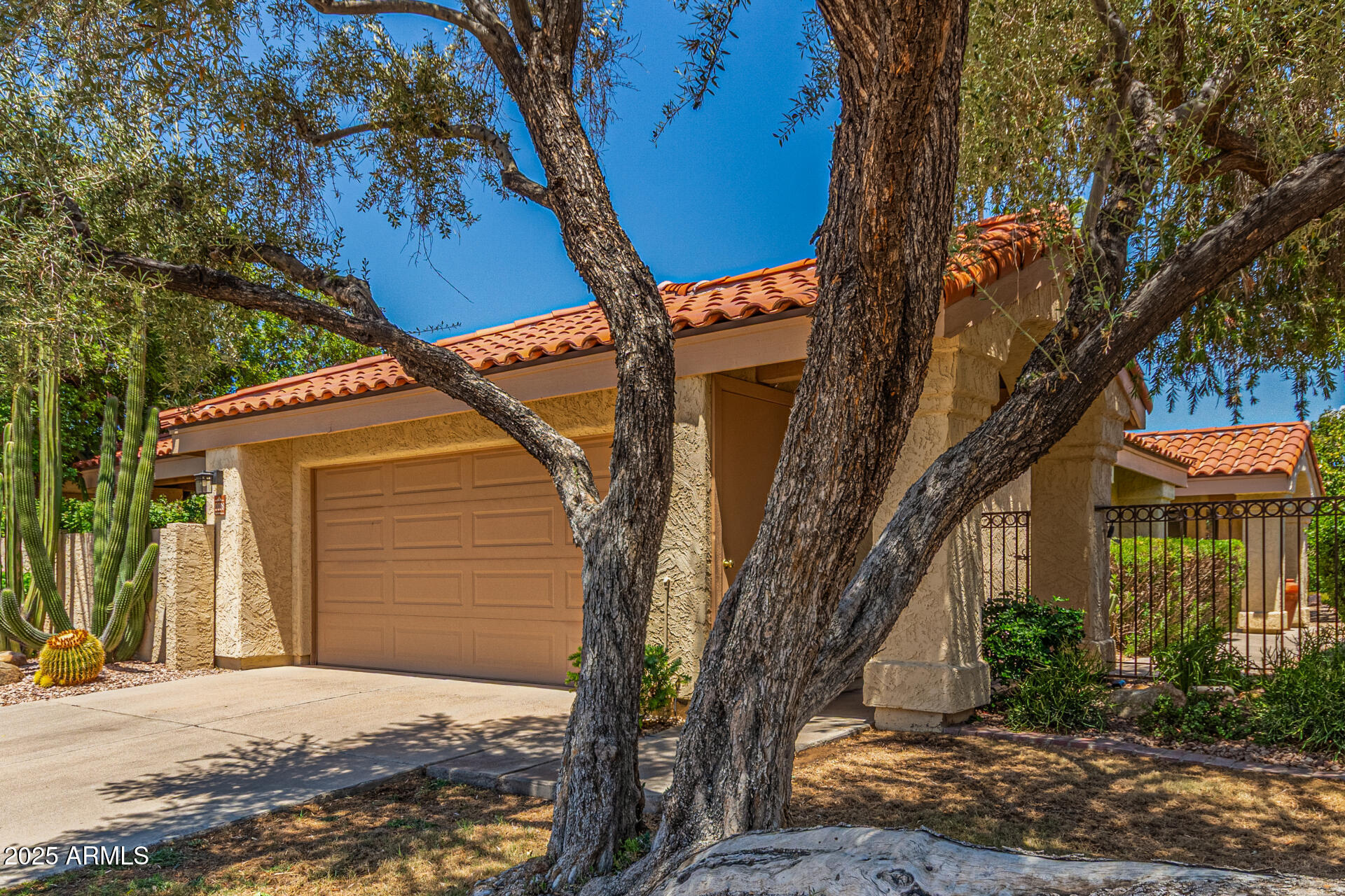10008 E Saddlehorn Trail  Scottsdale AZ 85258 photo