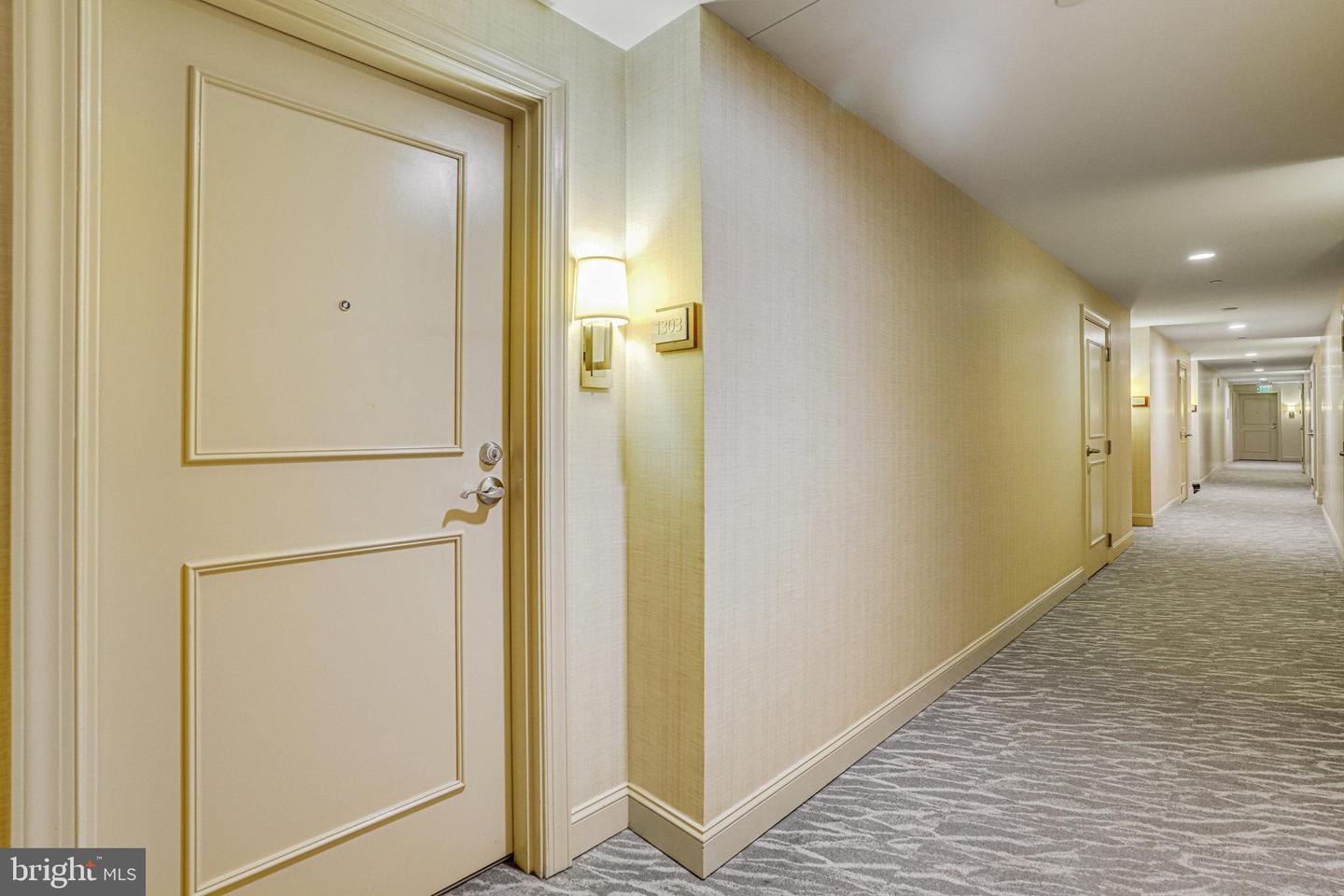 Property Photo: 2050 Jamieson Avenue 1303 VA 22314