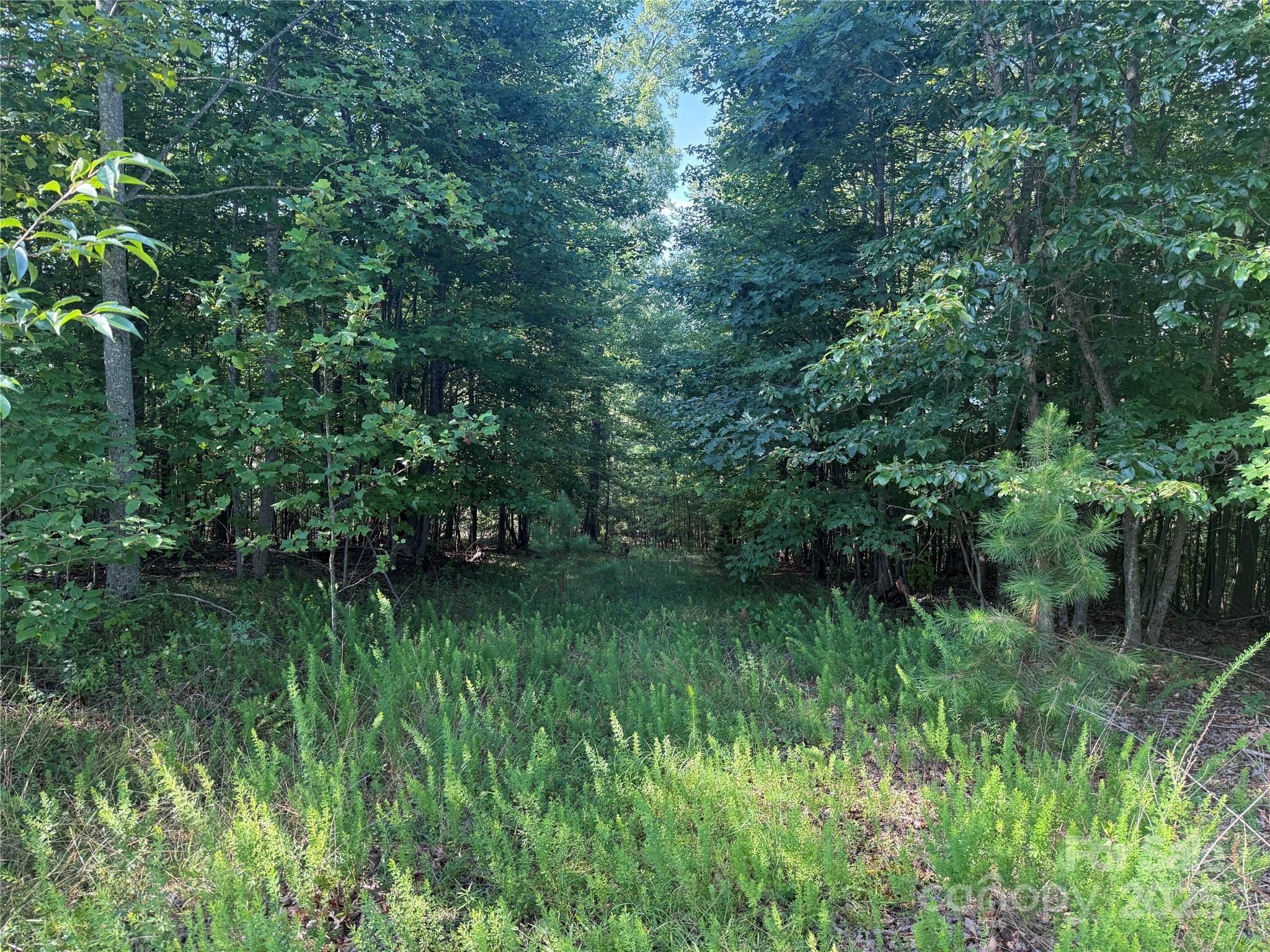 Property Photo: Lot 333 Scenic Vista Drive 333 NC 28761