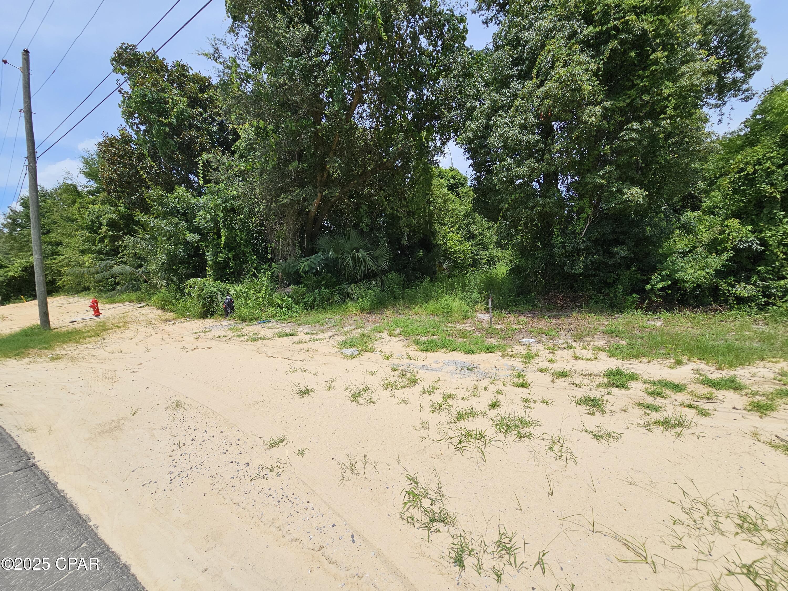Property Photo: Lot 11 Everitt Avenue FL 32401