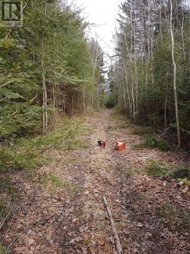 Property Photo:  Lots Old North Range Road  NS B0W 3T0 