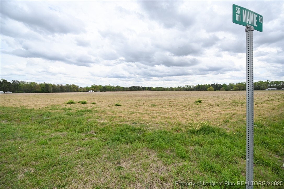 Property Photo: 95 Mamie Road NC 27504